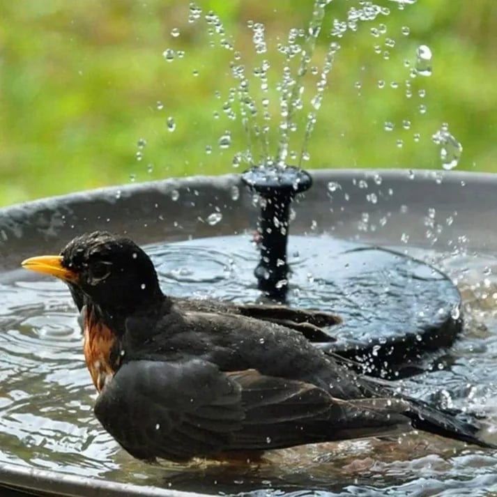 EcoRipple - Solar Garden Fountain