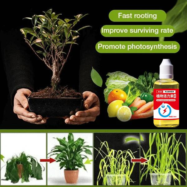 FloraFuel – Advanced Plant Growth Supplement