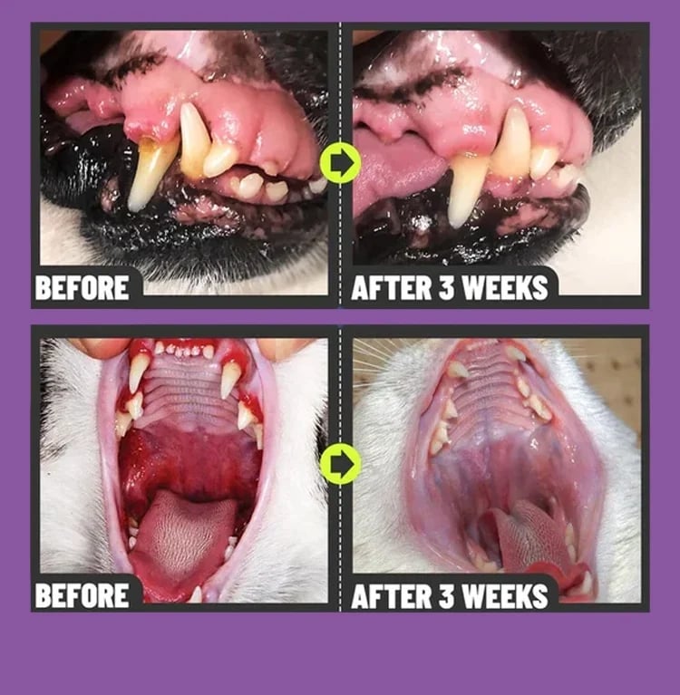 PawFresh – Teeth Cleaning Spray for Pets