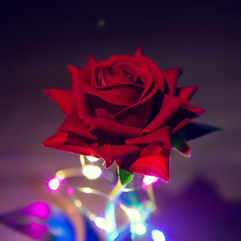 EternaBloom – Enchanted Sparkly Rose Gift