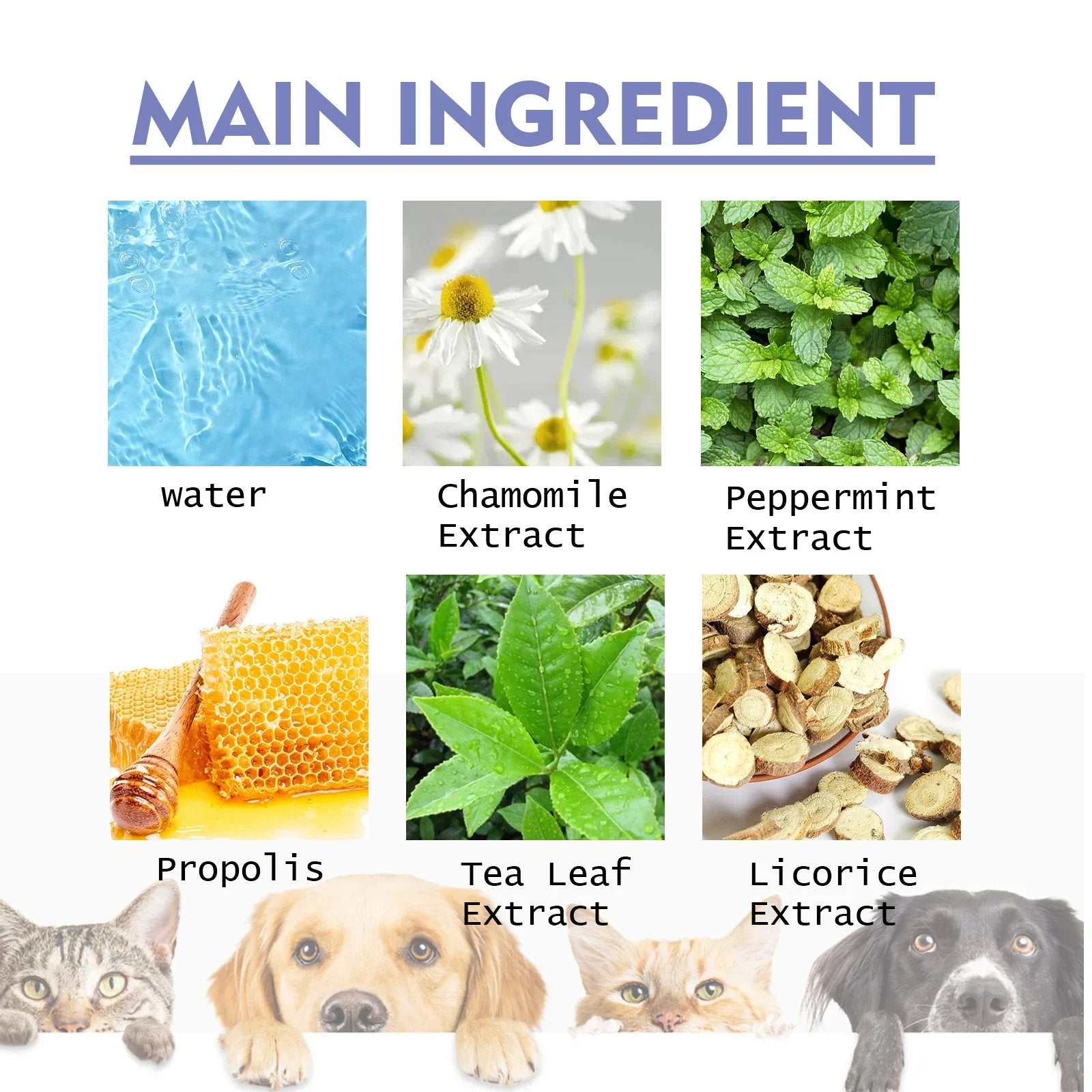 PawFresh – Teeth Cleaning Spray for Pets