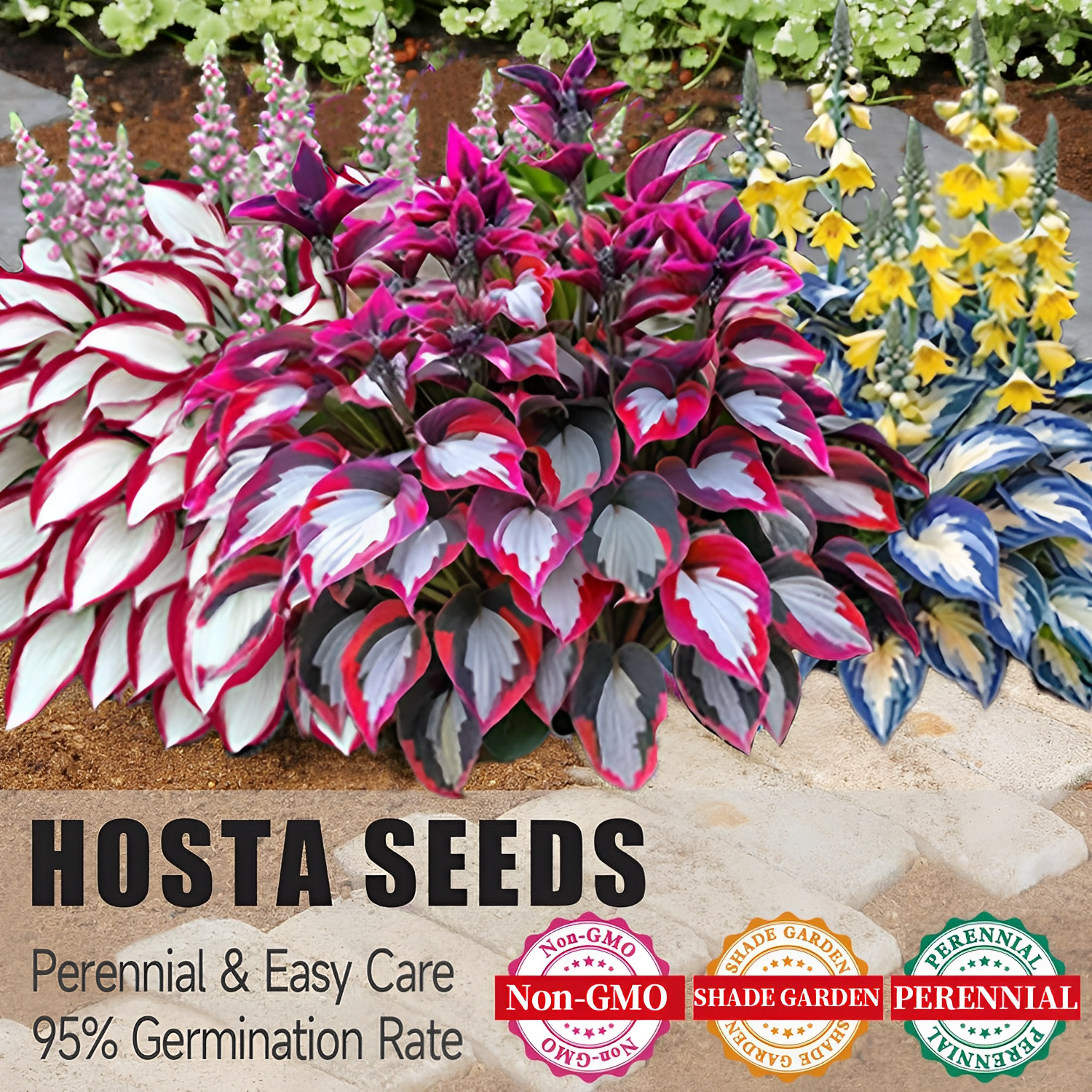 LushLeaf – Premium Hosta Garden Seeds