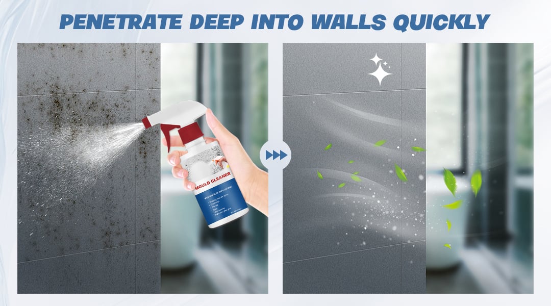 FoamClean - Multi-Use Mildew & Mold Remedy