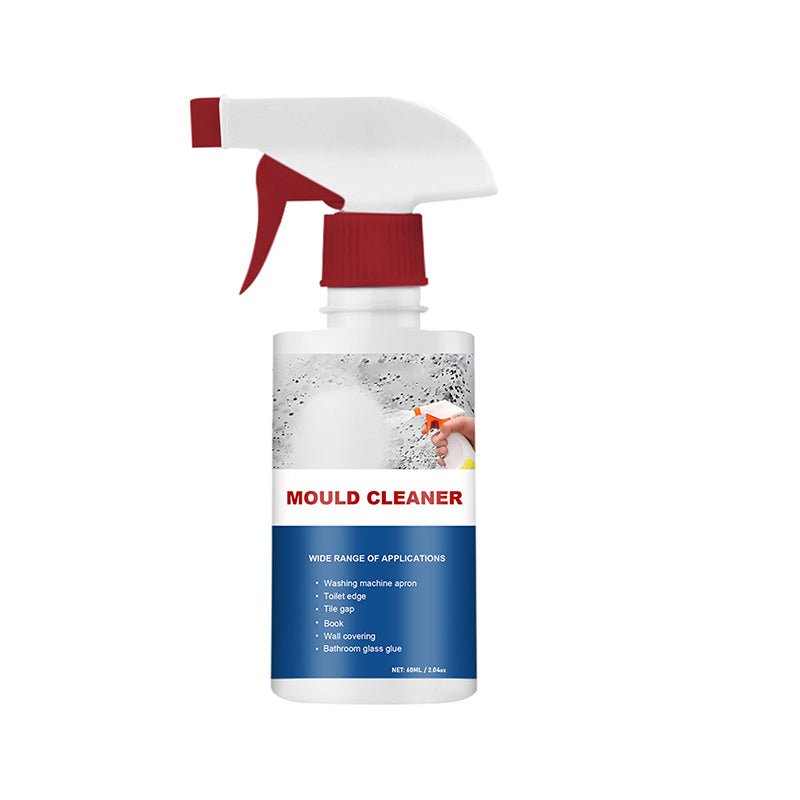 FoamClean - Multi-Use Mildew & Mold Remedy