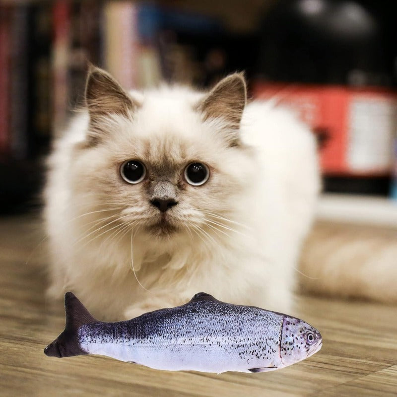FloppyFish – Realistic Plush Cat Toy