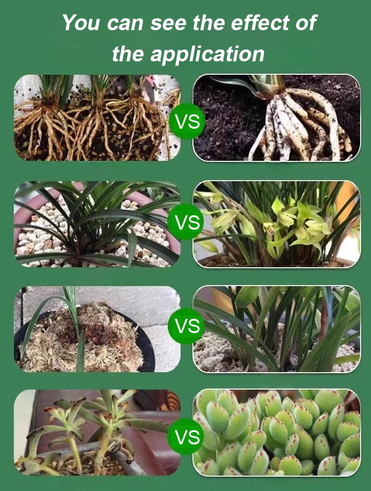 BloomBurst - Rapid Plant & Flower Activator