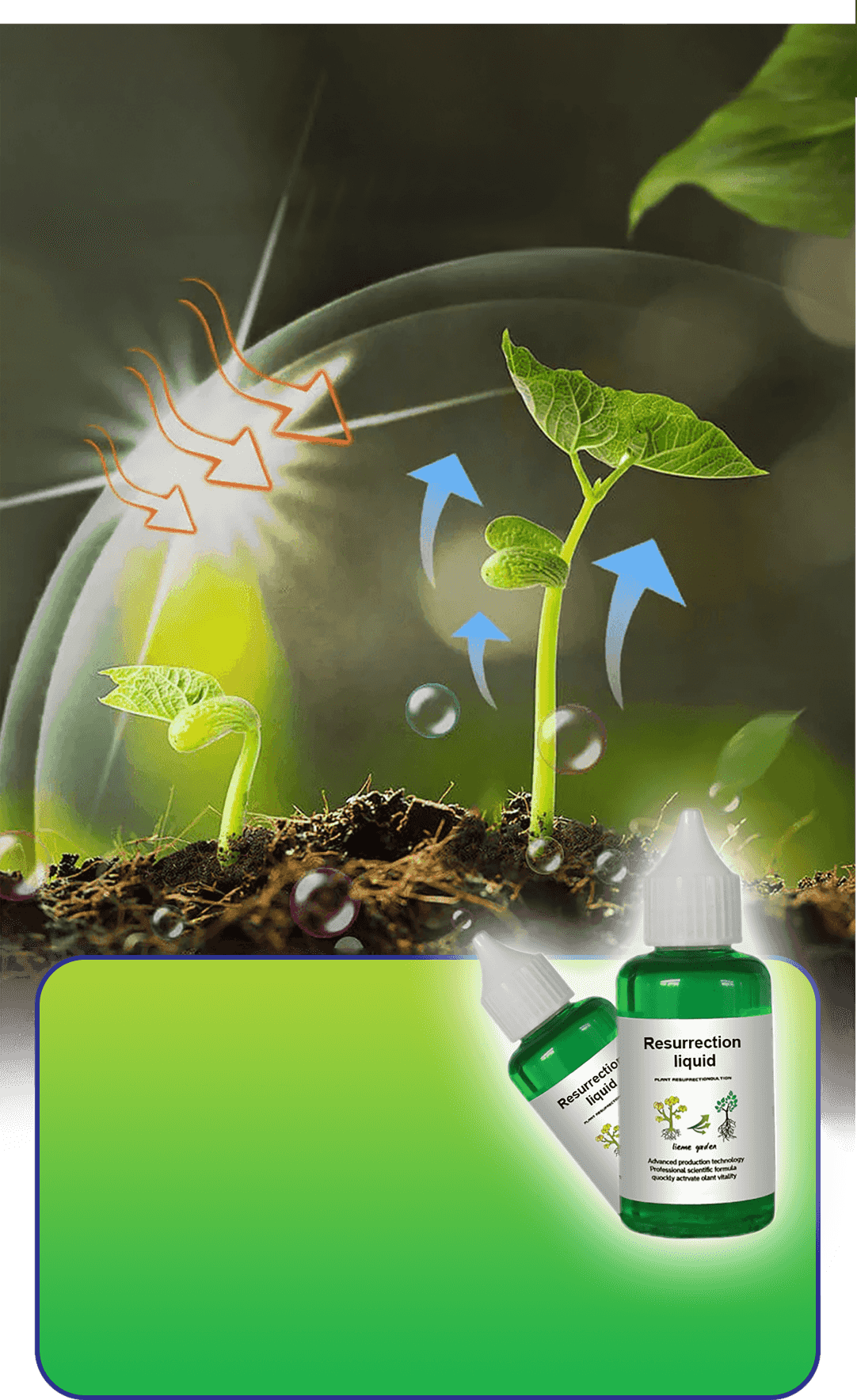 BloomBurst - Rapid Plant & Flower Activator