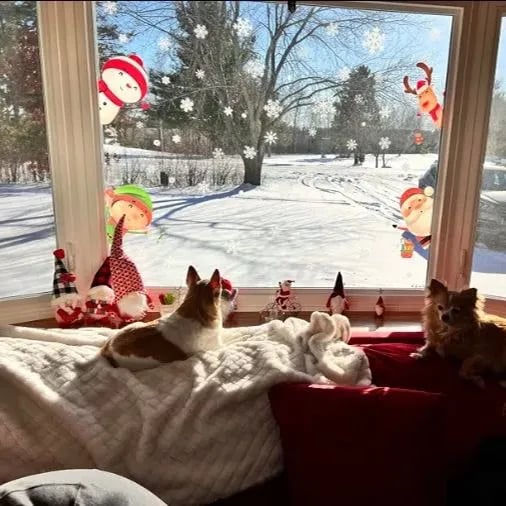 FrostyClings – Reusable Christmas Window Stickers