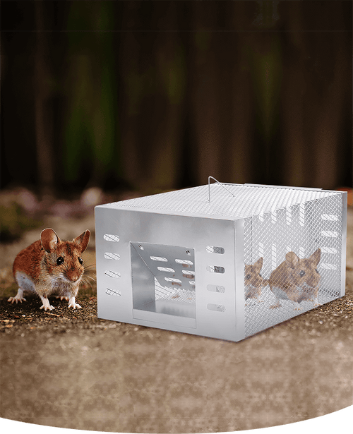 QuickTrap - High-Sensitivity Rodent Eliminator