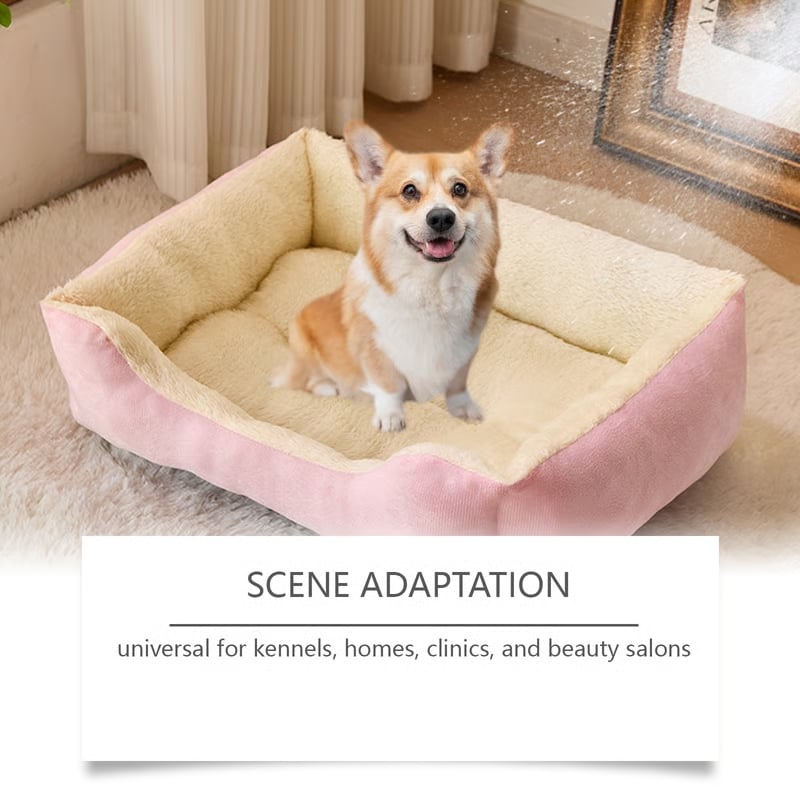 PetBreathe – Natural Dog Odor Neutralizer