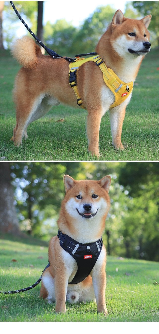 HappyTrek - Front-Leash Control Harness for Dogs