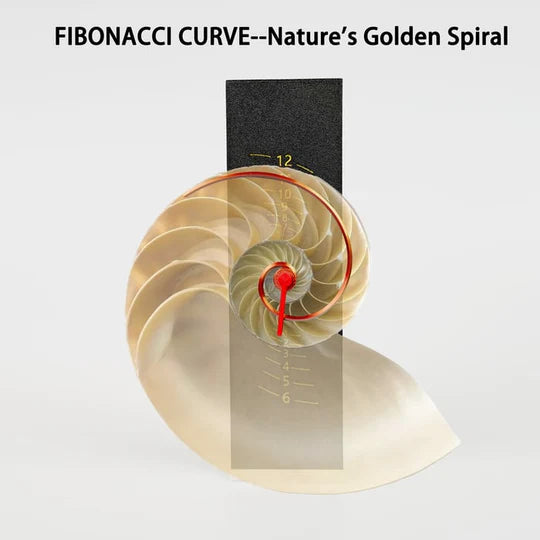 TimeSpire – Spiral-Inspired Modern Desktop Clock