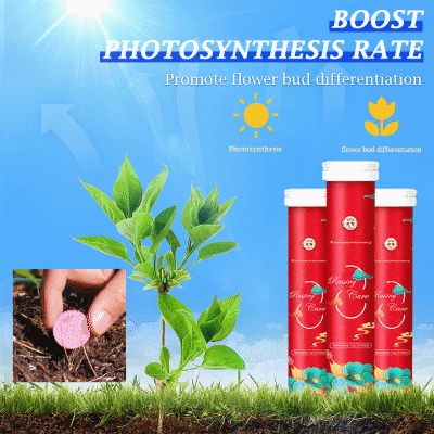GrowMate – Slow-Release Organic Fertilizer Tablets
