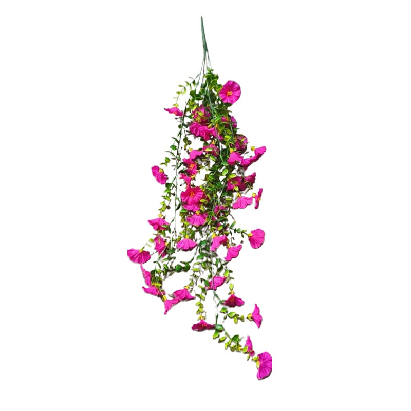 FleurVibe - Year-Round Vibrant Morning Glory Display