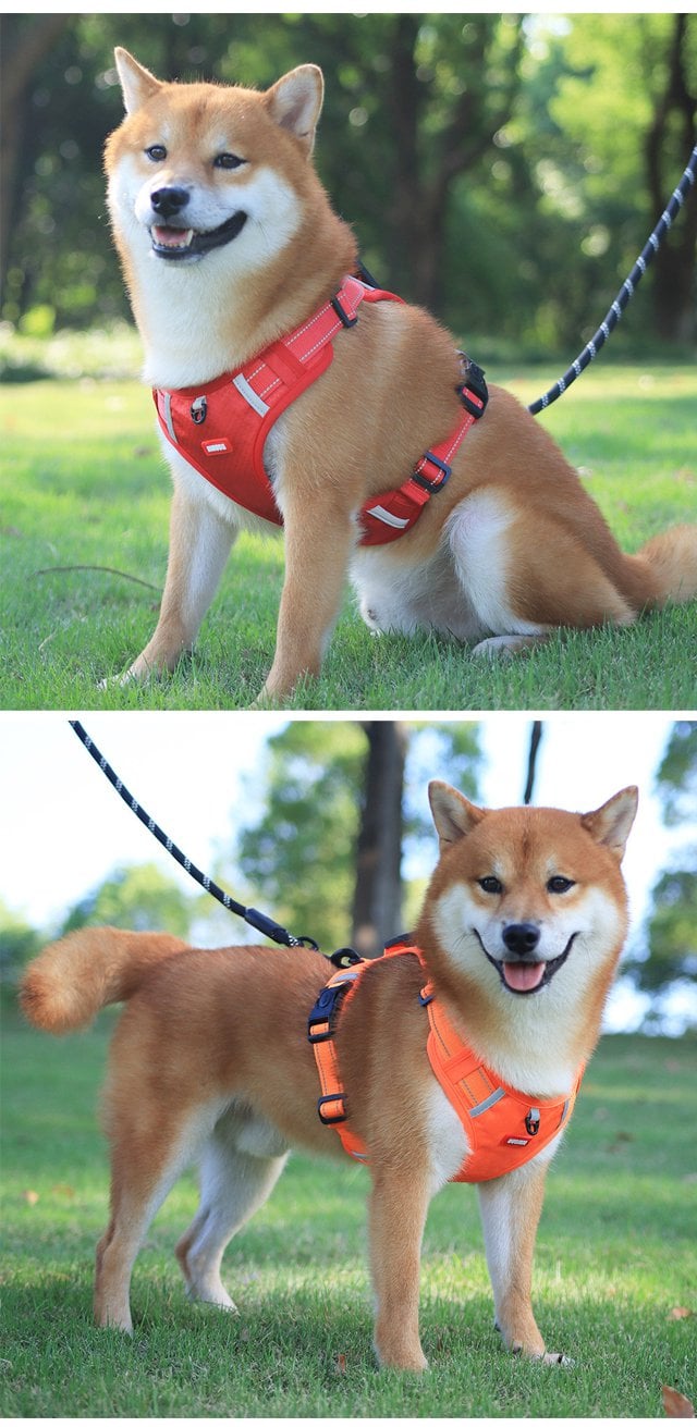 HappyTrek - Front-Leash Control Harness for Dogs