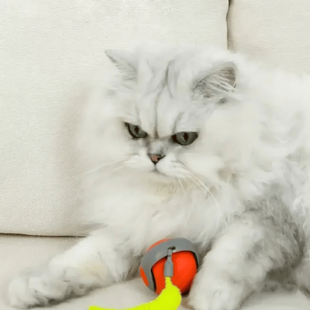ChaseWhirl – Interactive Pet Ball Toy