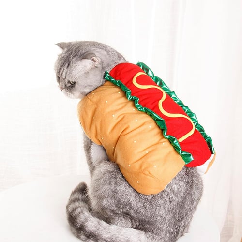PawBun – Adorable Hot Dog Outfit for Pets