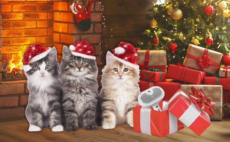 MeowMist – Soft Care Grooming Tool
