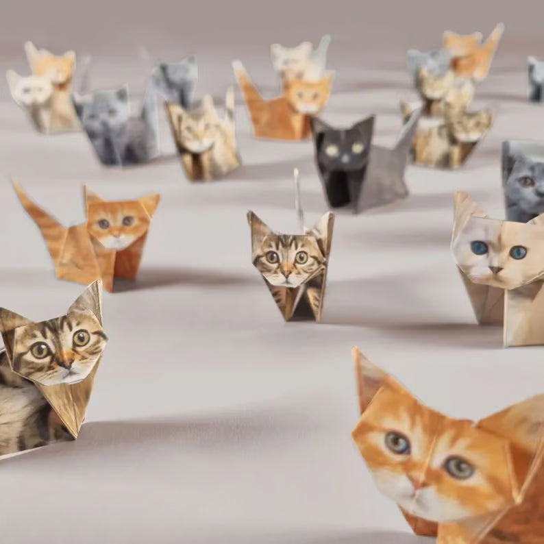 PurrCraft – DIY Cat Paper Set