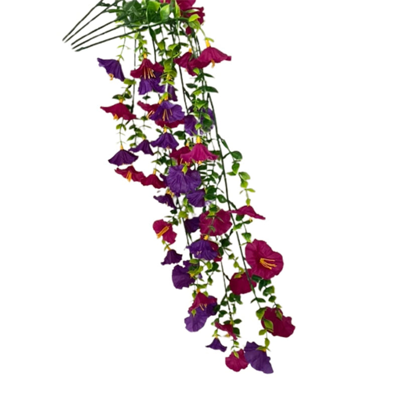 FleurVibe - Year-Round Vibrant Morning Glory Display