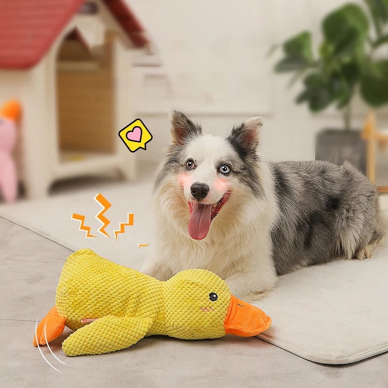 QuackBuddy - Fun Companion for Dogs