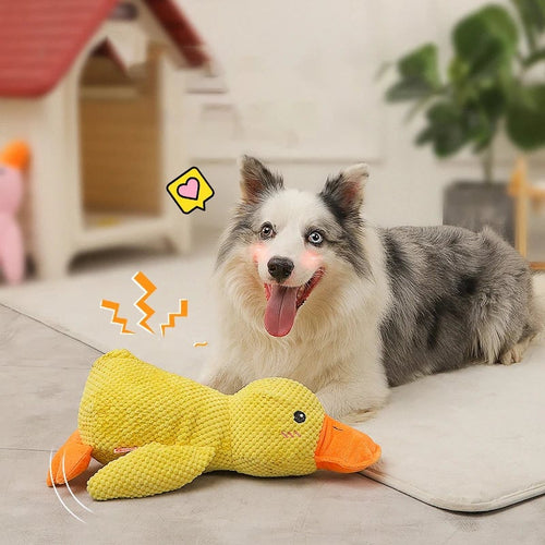 QuackBuddy - Fun Companion for Dogs