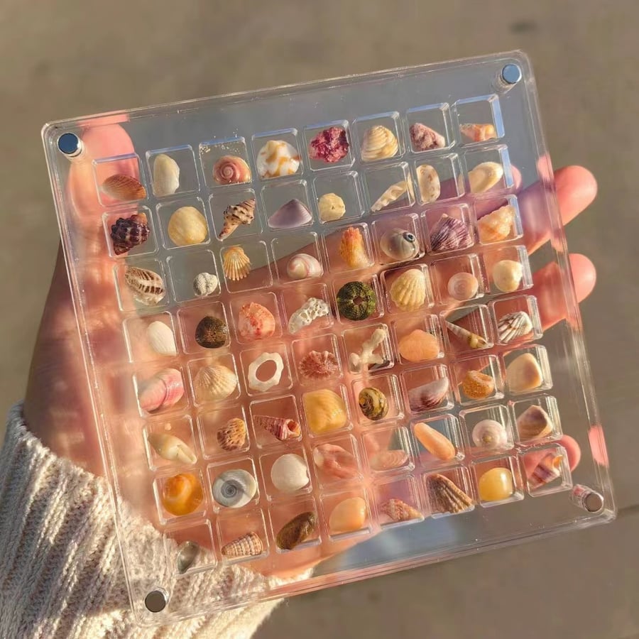 AquaFrame – Acrylic Display Case for Seashell Treasures