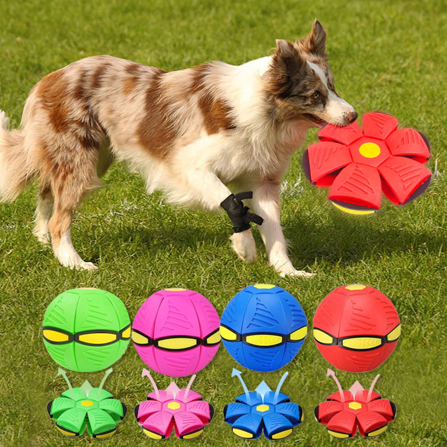 PawBlitz - Transforming Saucer-Ball Toy