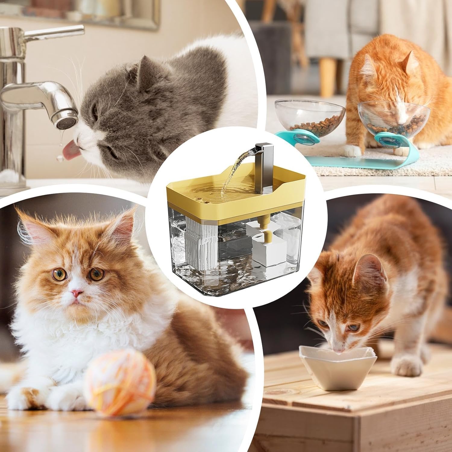 AquaPaw – Automatic Pet Fountain