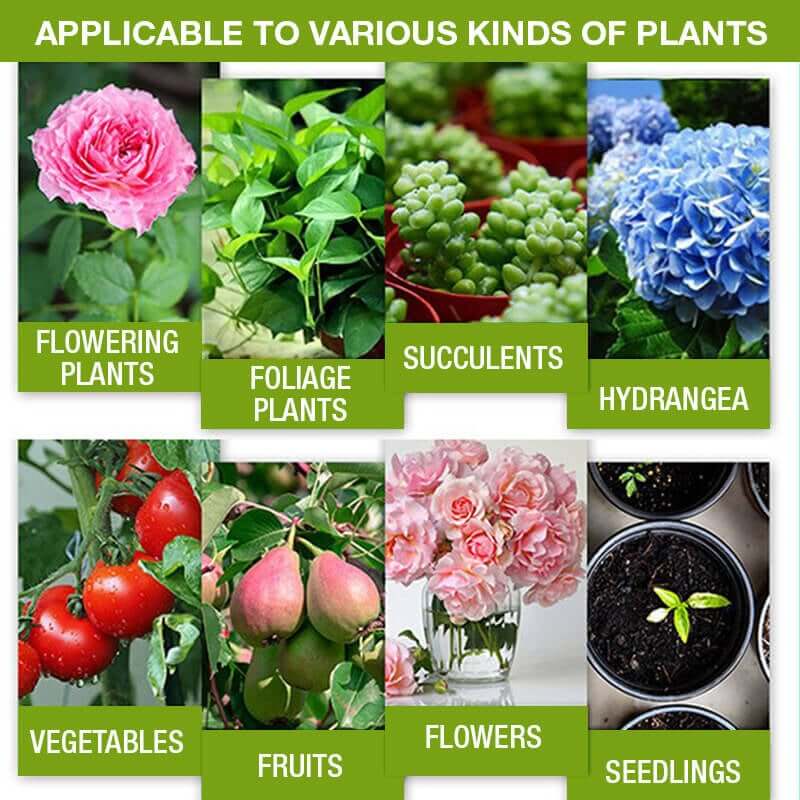 FloraFuel – Advanced Plant Growth Supplement