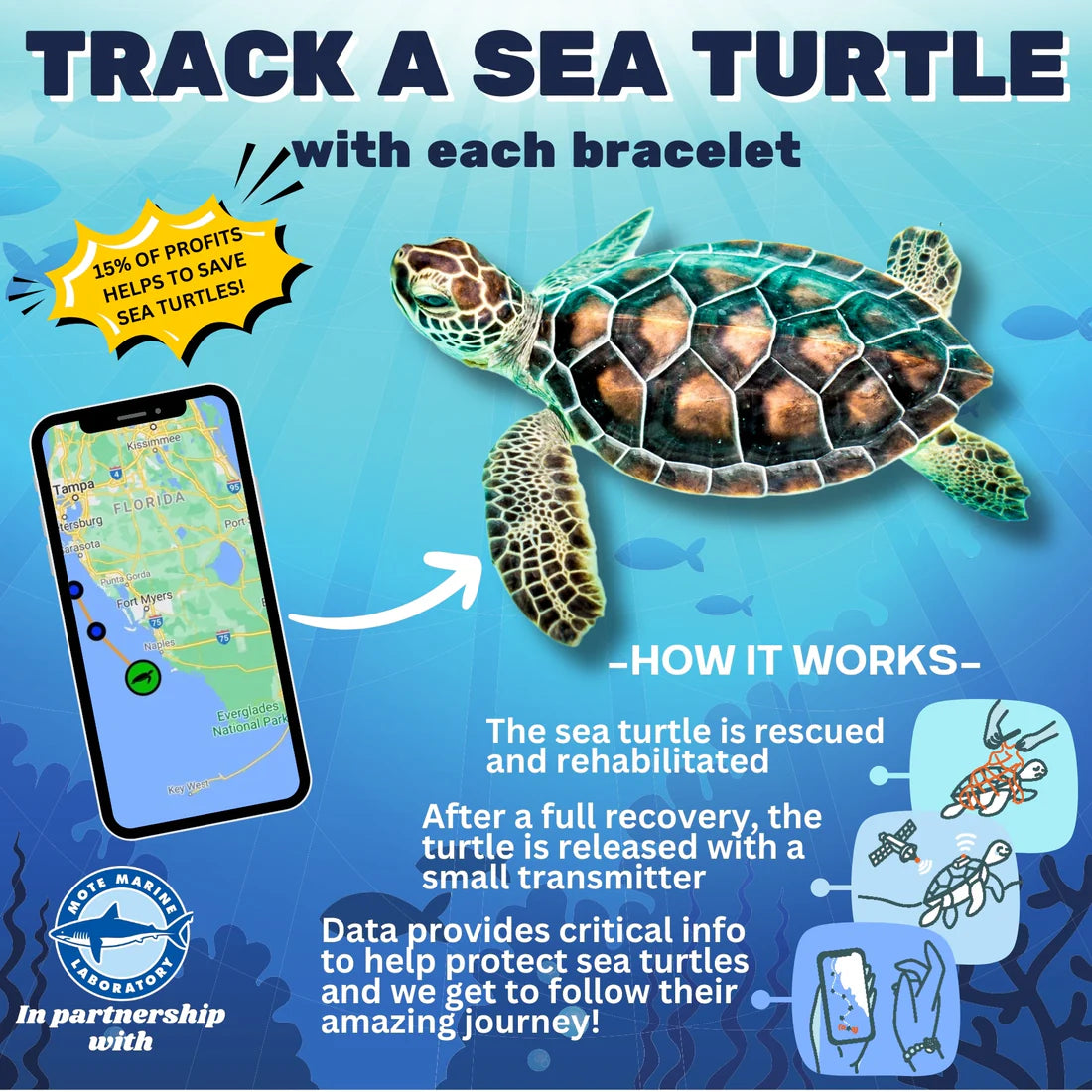 OceanPulse – Classic Sea Turtle Bracelet
