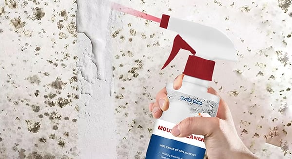 FoamClean - Multi-Use Mildew & Mold Remedy