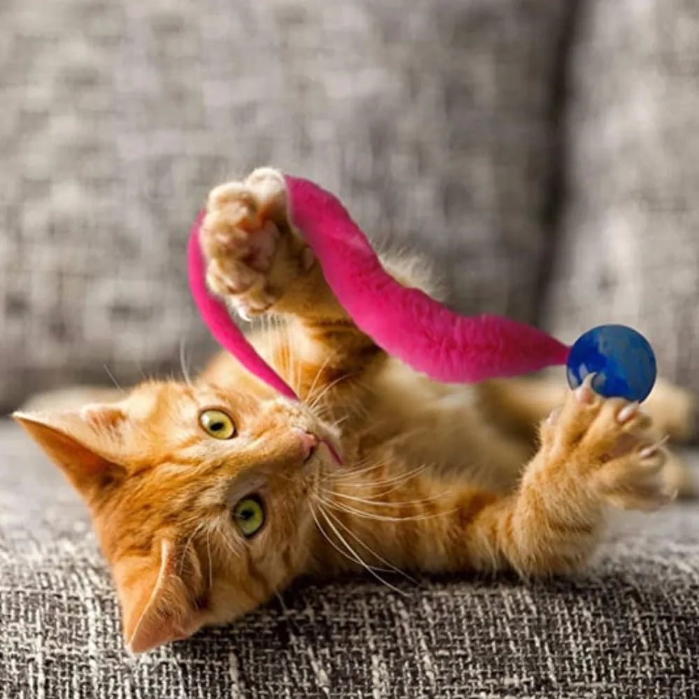 FurrMotion – Smart Rolling Cat Toy