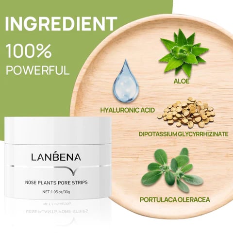 GreenPore – Plant-Based Nose Strips