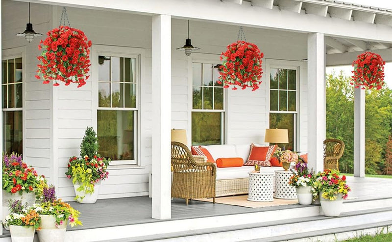 FleurVibe - Year-Round Vibrant Morning Glory Display