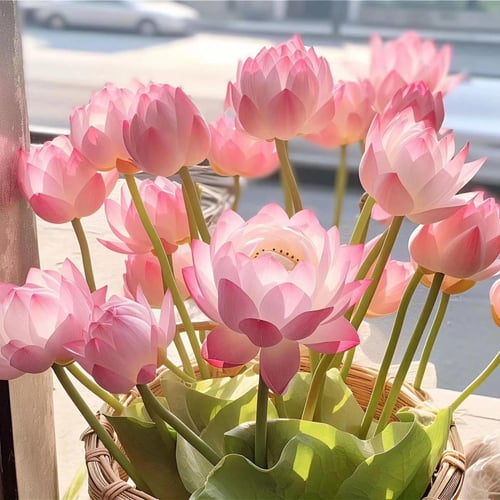 ZenBloom – Sacred Bonsai Lotus Bowl