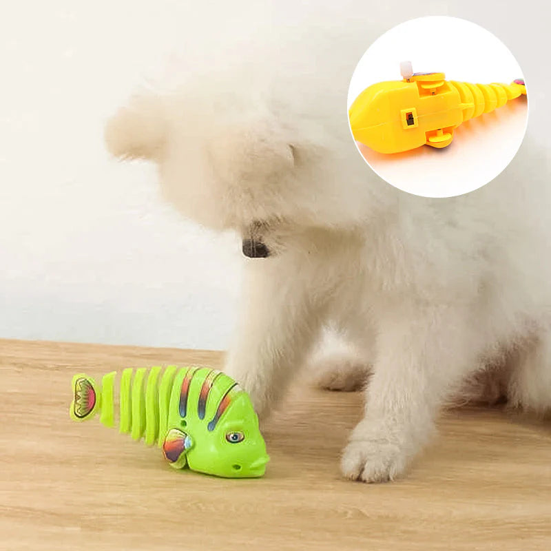 SwimWhirl – Clockwork Cartoon Fish Toy