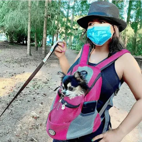 FurVenture – Summer Pet Carrier Backpack