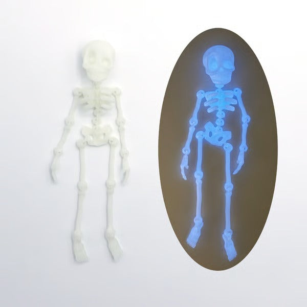 BoneStick – Skeleton Refrigerator Magnet