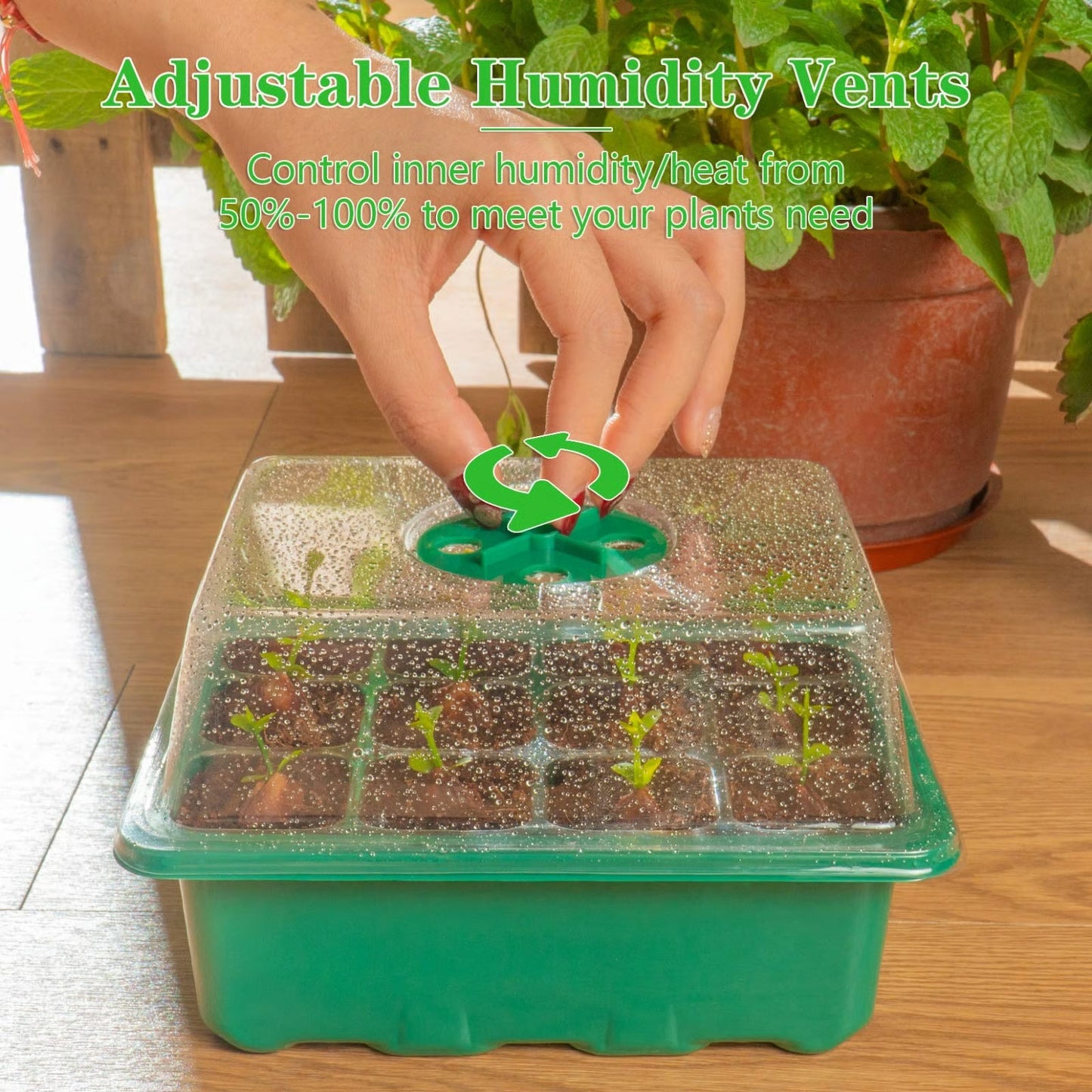 SproutDome – Adjustable Humidity Seed Starter Trays