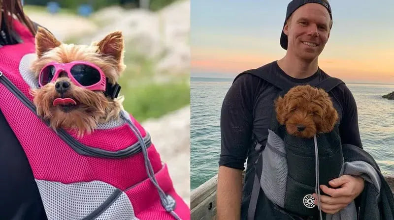 FurVenture – Summer Pet Carrier Backpack