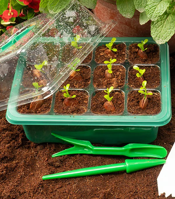 SproutDome – Adjustable Humidity Seed Starter Trays
