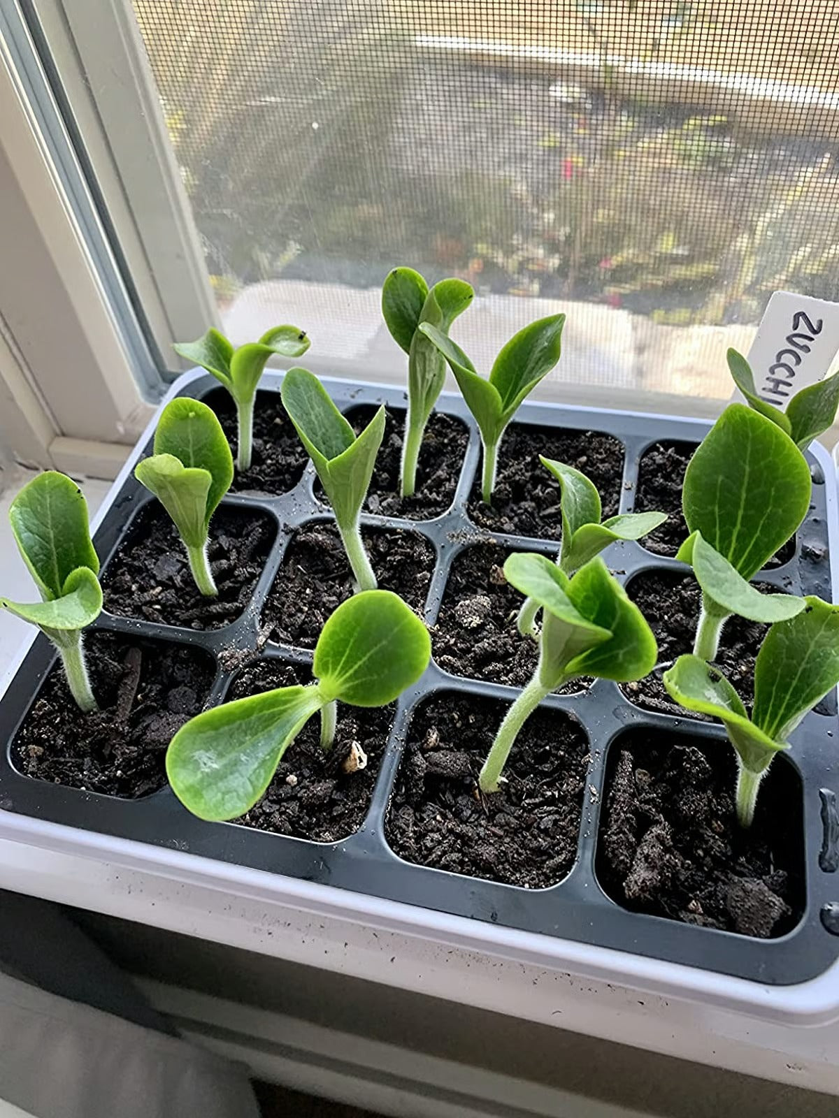 SproutDome – Adjustable Humidity Seed Starter Trays