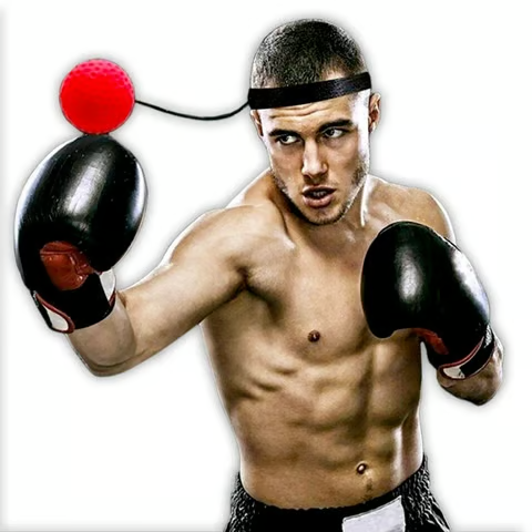 ReflexMaster – Punch Speed Training Bal