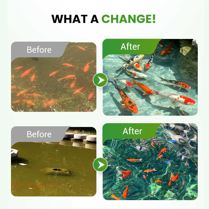 BioClear – Natural Pond Clarifier & Algae Solution
