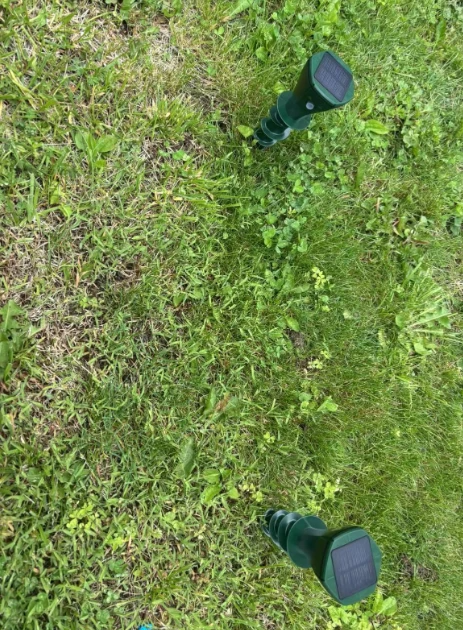 SolarGuard – Outdoor Animal Repeller