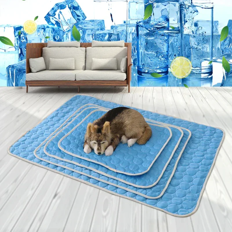 AquaHaven – Ocean Breeze Splash Experience