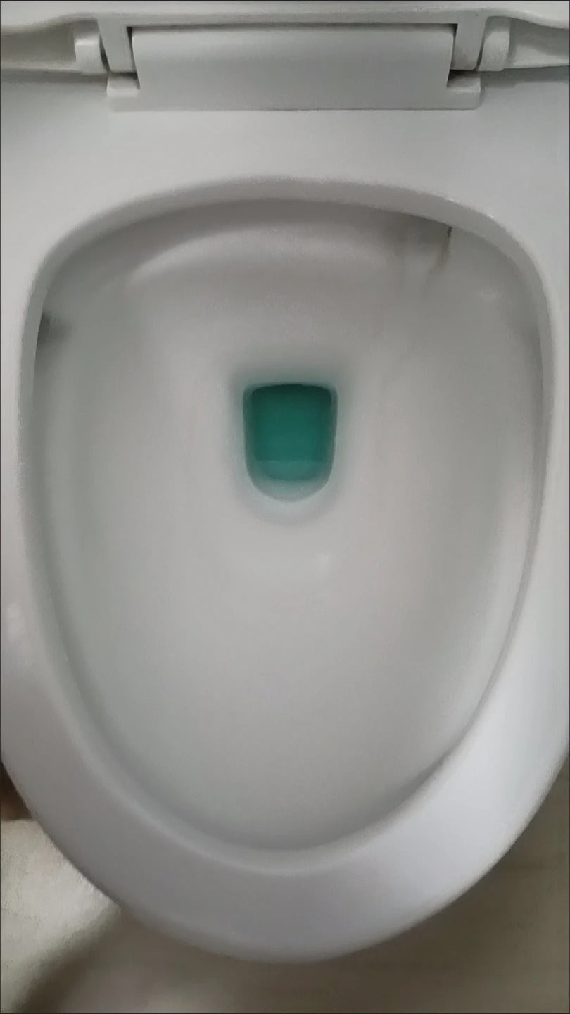 CleanWave – Toilet Cleaning Sticks
