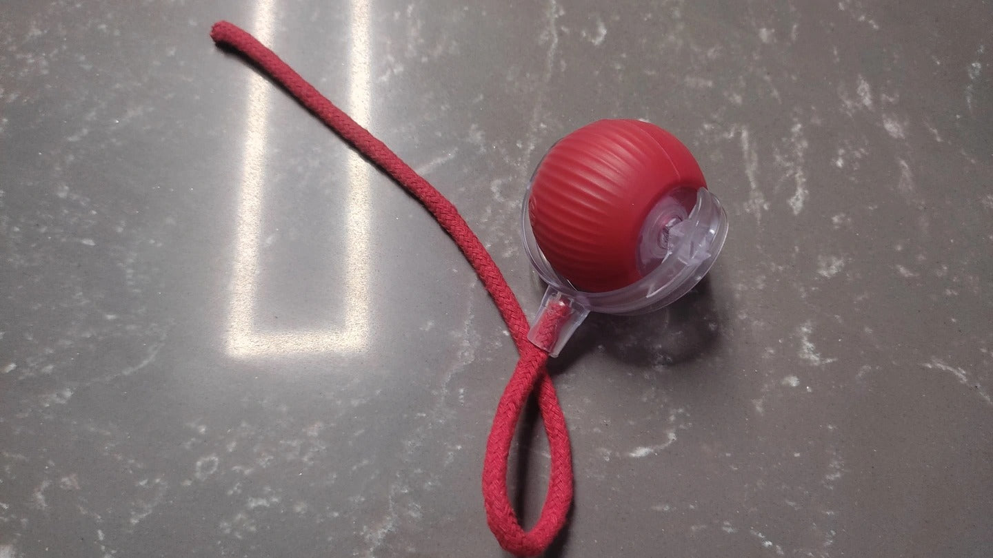 WiggleRoll – Crazy Tail Action Toy
