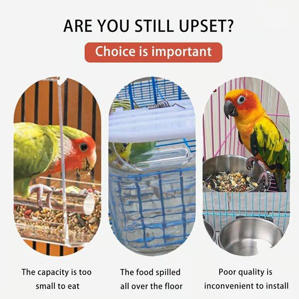 FeatherTidy – No Mess Automatic Bird Feeder